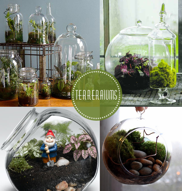 Calico skies Terrarium DIY